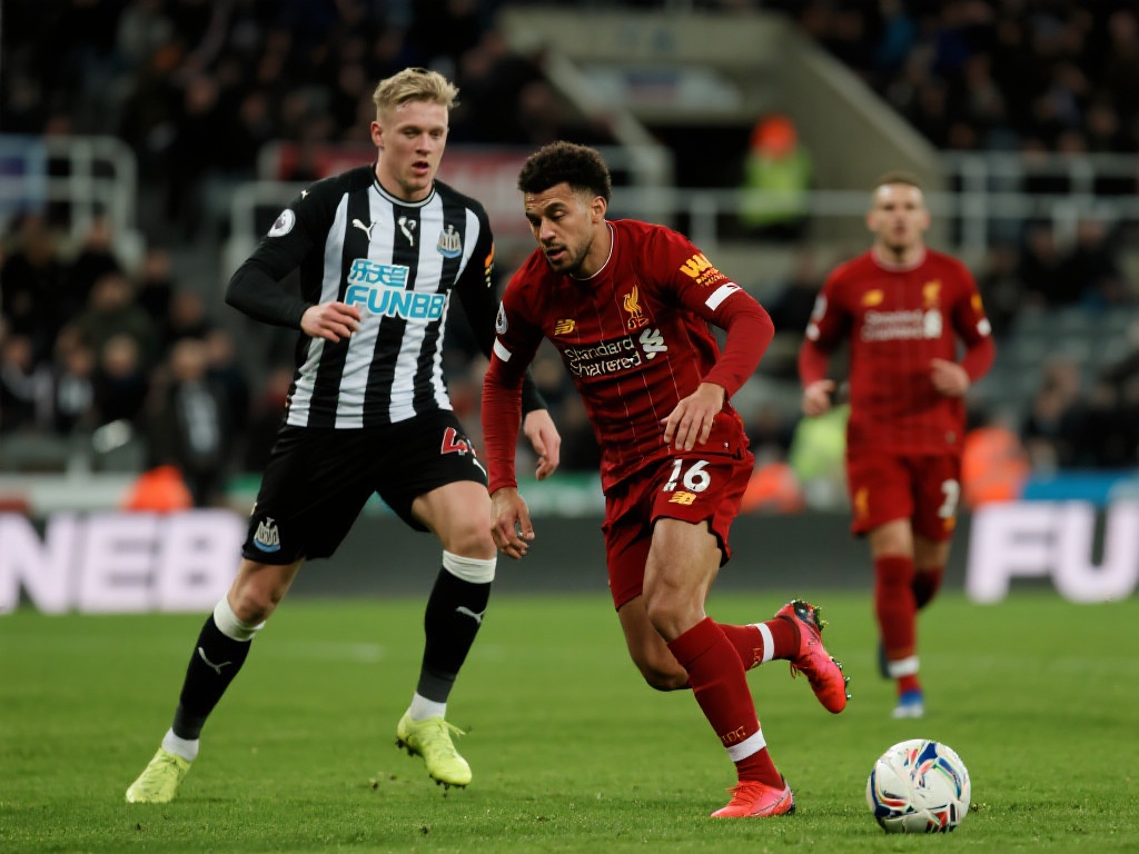 来为球队解 来为球队解